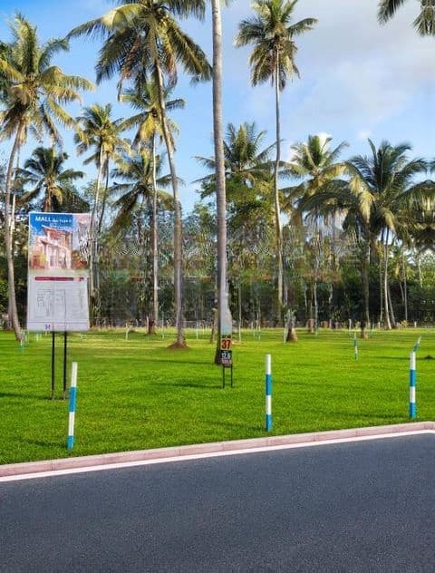 Super Land for Sale in Pannala D06