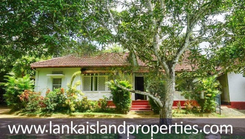 Spacious 43p land with colonial house near Dewata beach - LIP 267