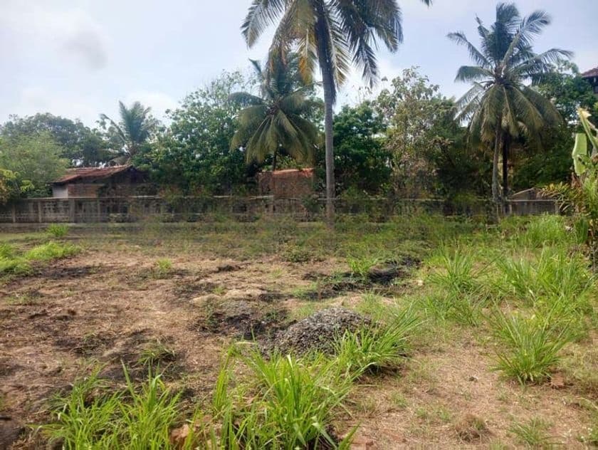 Prime Land for Sale – Close to Pamunugama Town
