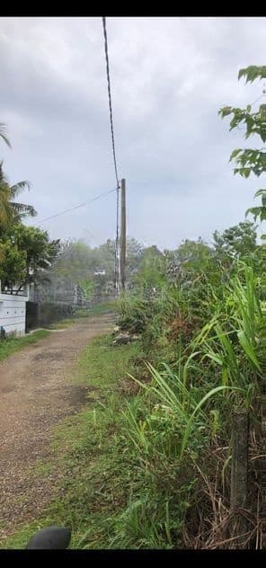 Land for Sale - Watareka