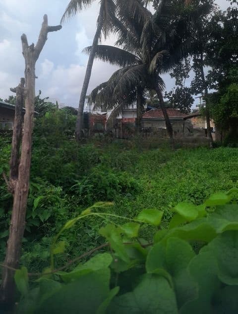 Land For Sale In Raththanapitiya