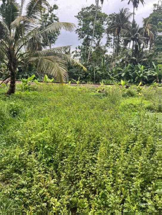 Land For Sale In Ahangama Closer Beach -code Add 938