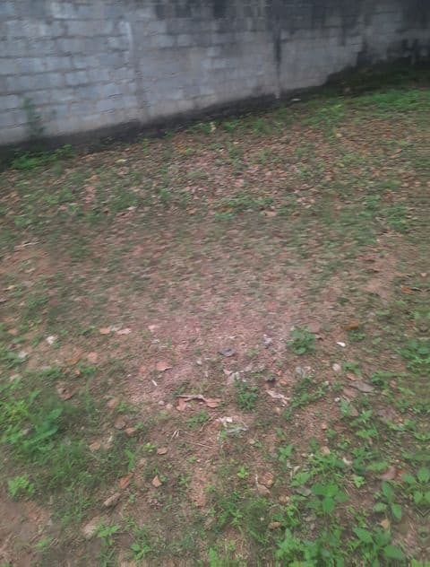 Land For Sale In Bellanvila