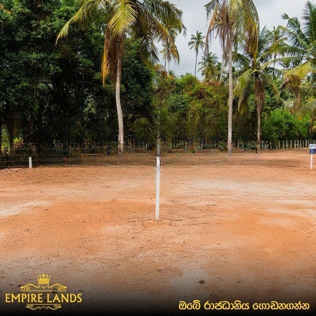 අනාගත ආයෝජනයට අගනා බිම් කොටස් කිඹුලාපිටිය කටුනායක