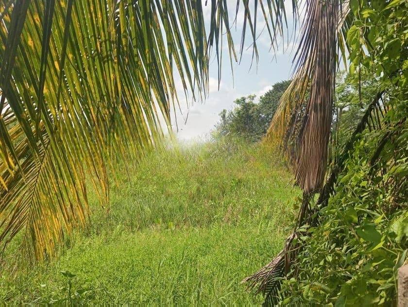 සින්නක්කර බිම් කොටසක් අනුරාධපුර