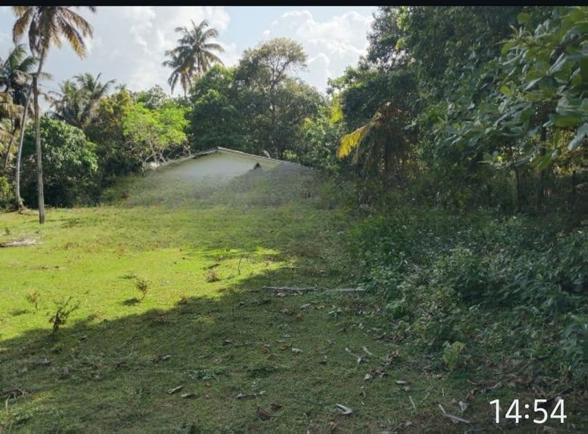 Hikkaduwa Kahawa Historyc Land for Sale ( Rls - 709)