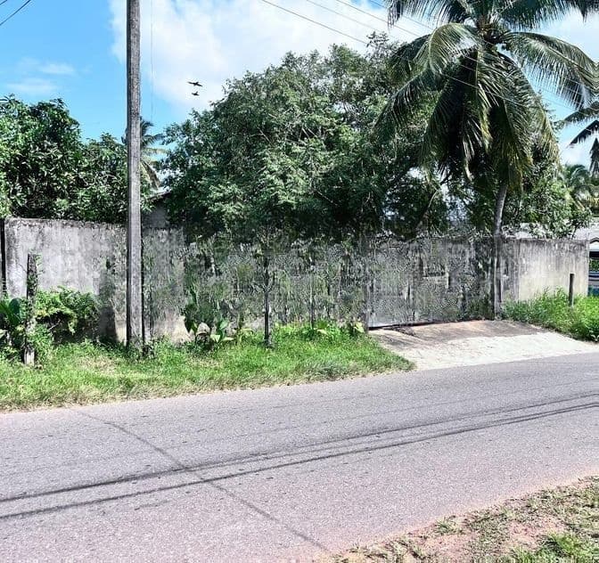 Perfect Land for Sale – Ragama / Tewatta, a Warehouse