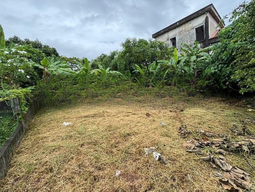 Bare Land for Sale Palawatta
