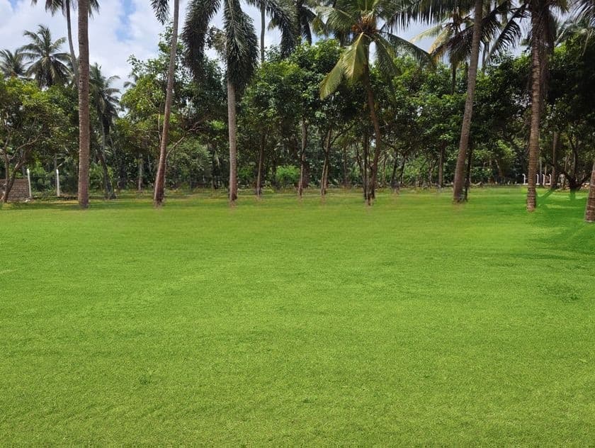 Valueble residental plots Near Pannala U01
