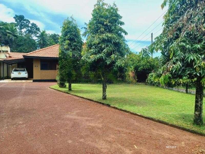 House with a large garden For Sale in Negombo