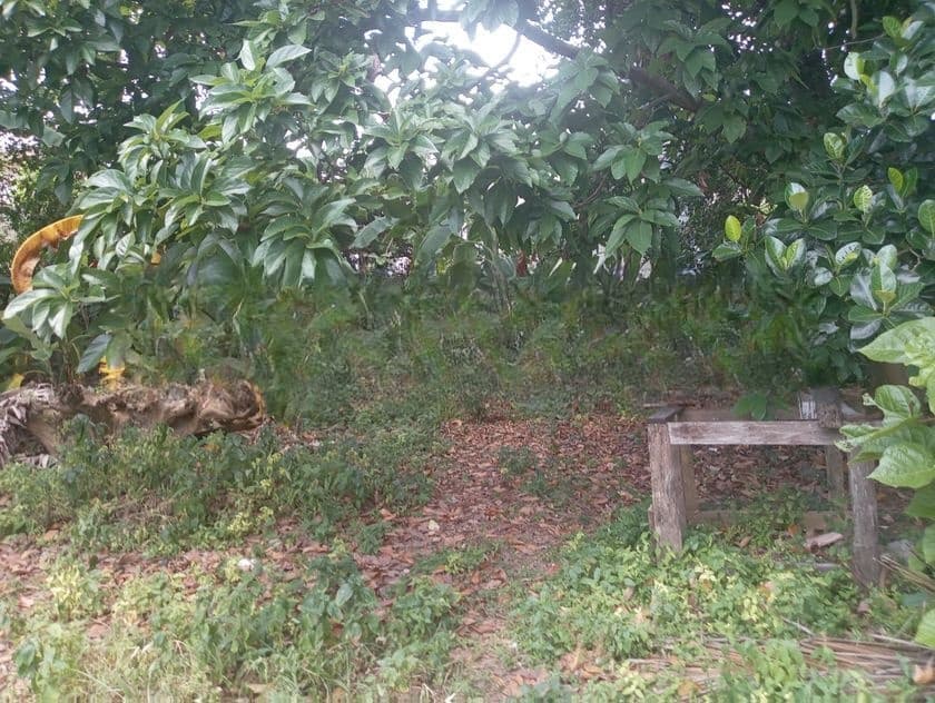 Land for Sale Talawathugoda