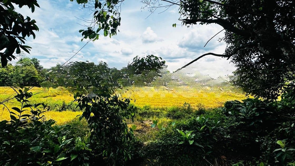 Kadawatha Residential Land