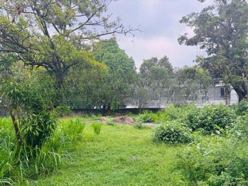 Commercial Land for Sale in Rajagiriya