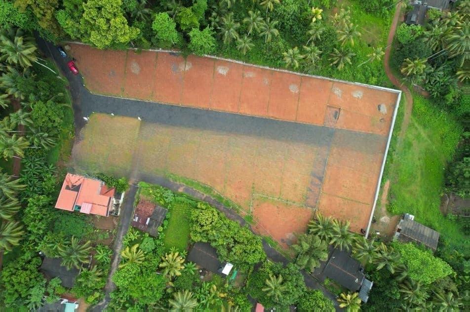 පිටිපනින් බිම් කොටස්