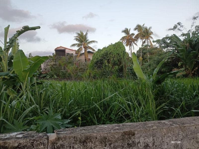 Land for Sale @ Temples Road , Mountlavinia