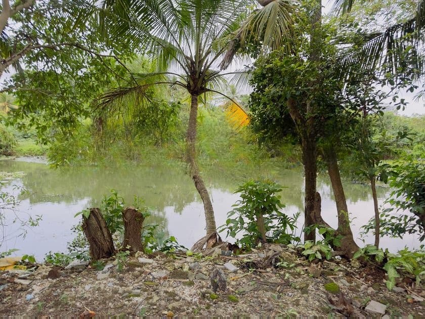 (AFA33) Water Front 20.2 P LAND SALE AT Nawala