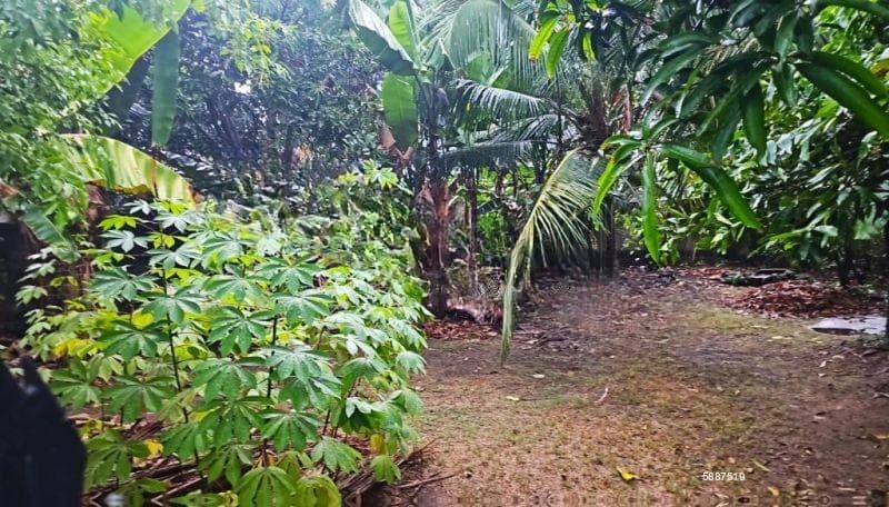Valuable Residential Land for Sale – Nawala