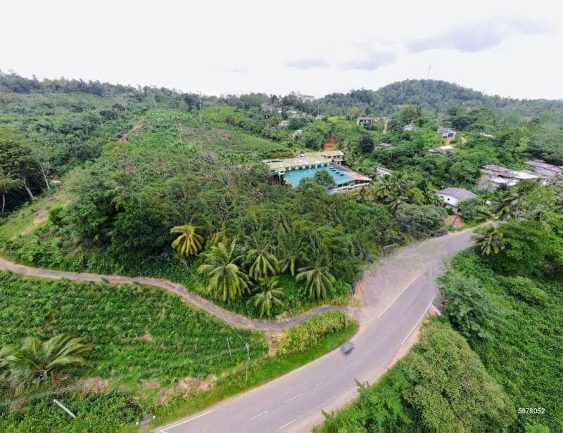 Galle Tea Land With A Factory Is Available For Urgent Sale