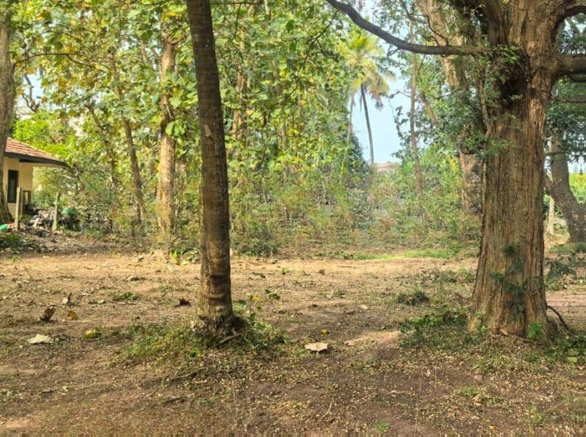 Land for Sale in Kurunegala