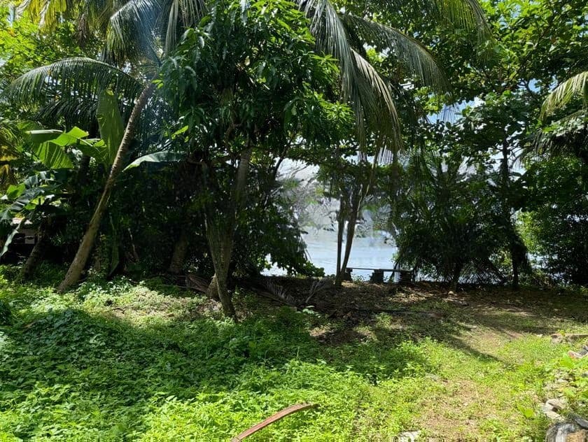 Bolgoda Lake Facing Land for Sale in Moratuwa