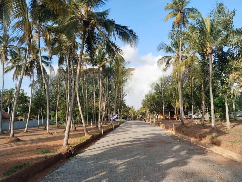 Land for Sale in Dankotuwa