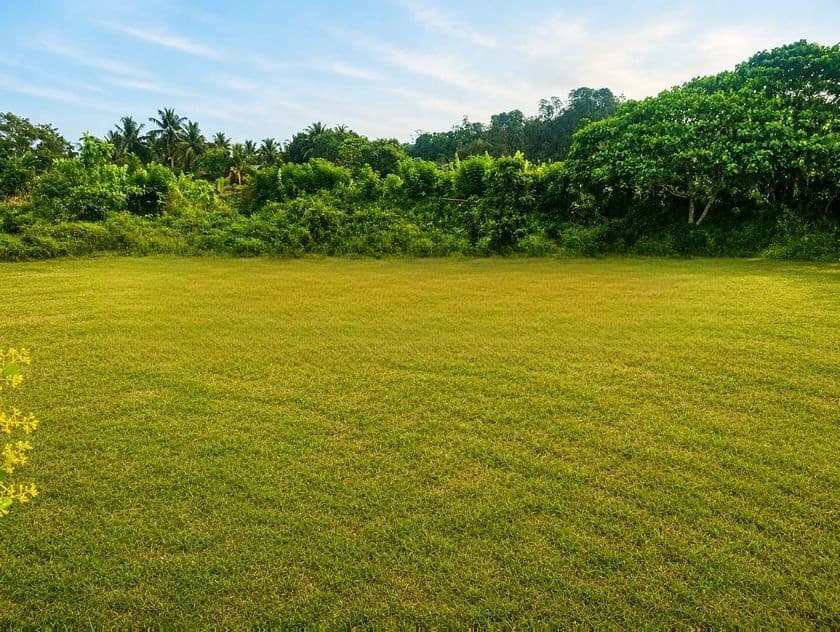 Land Plots for Sale in Artigala