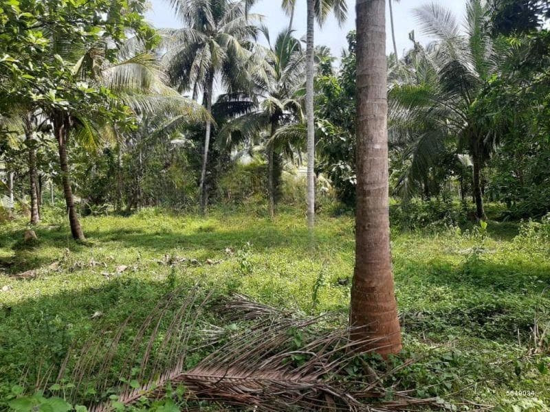 16.5 Acres Commercial Land For Sale In Negombo/ Miriswaththa Industrial area.