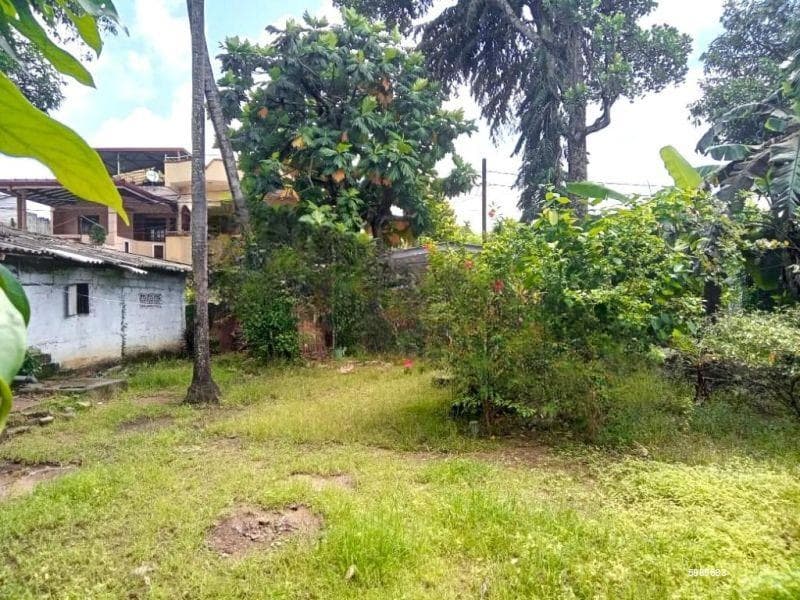 Valuable Land for Sale in Aramaya Pedesa – Colombo 09