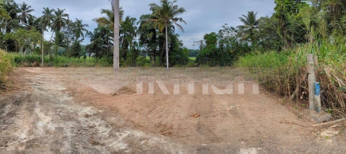 Udugampola සුපිරි වෙල් යායට මුහුණලා ඇති වටිනා ඉඩමක් විකිණීමට