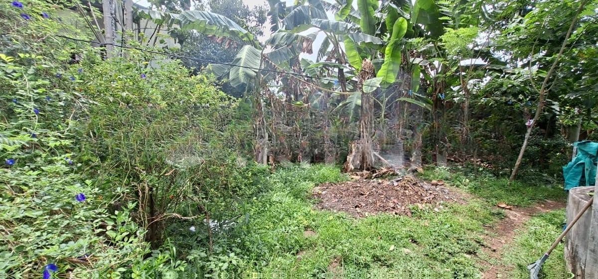 Land for Sale Boralesgamuwa 10th Mile Post