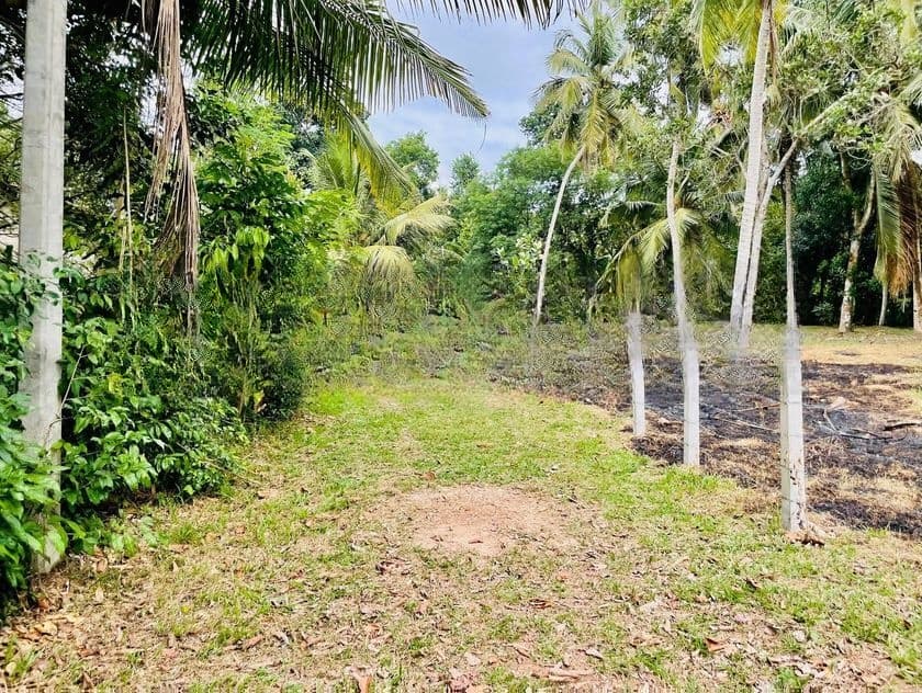 මිනුවන්ගොඩ නගරයෙන් වටිනා නේවාසික ඉඩමක් |KK 10495