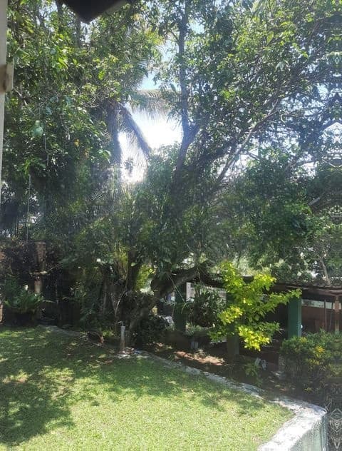 Land For Sale In Boralesgamuwa