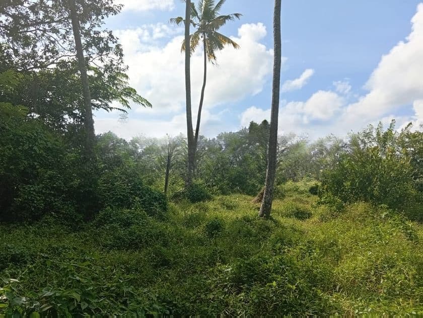 25 Perch Land for Sale in Seeduwa, Opatha