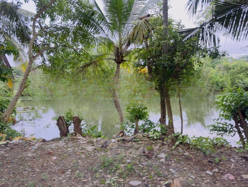 (AF742) Water Front 20.2 P LAND SALE AT Nawala