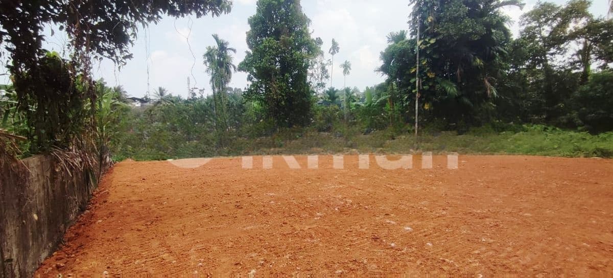 12P Paddy Field Facing Bare Land For Sale In Malabe