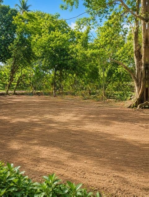 Koggala Lake Facing Best Waterfront Land Plots