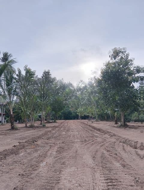 පෙරිමියන්කුලමෙන් සින්නක්කර බිම් කොටස්
