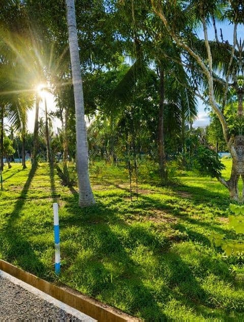 Main Road Facing Land for Sale in Mellawagedara P1