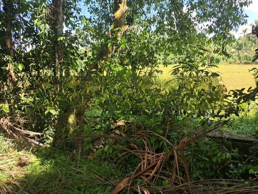 Land for Sale Homagama