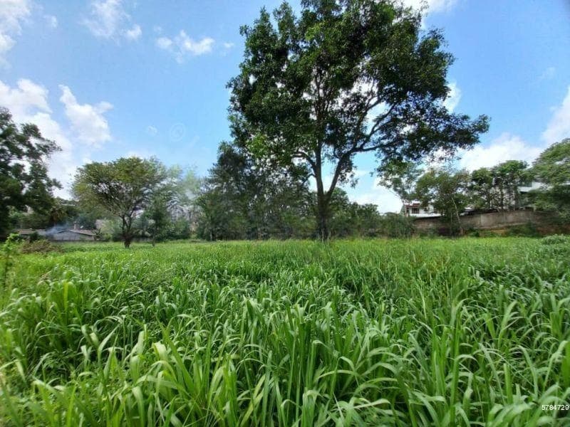 Land for sale in Battaramulla, Koswatta / Ideal for investment – Code LJ028