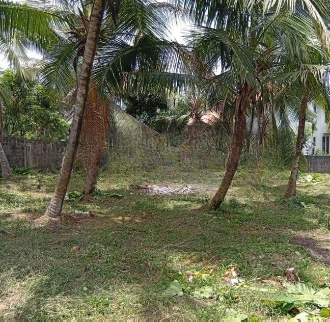 HOMAGAMA : 22.9P HIGH-VALUE SECURE BARE LAND FOR SALE