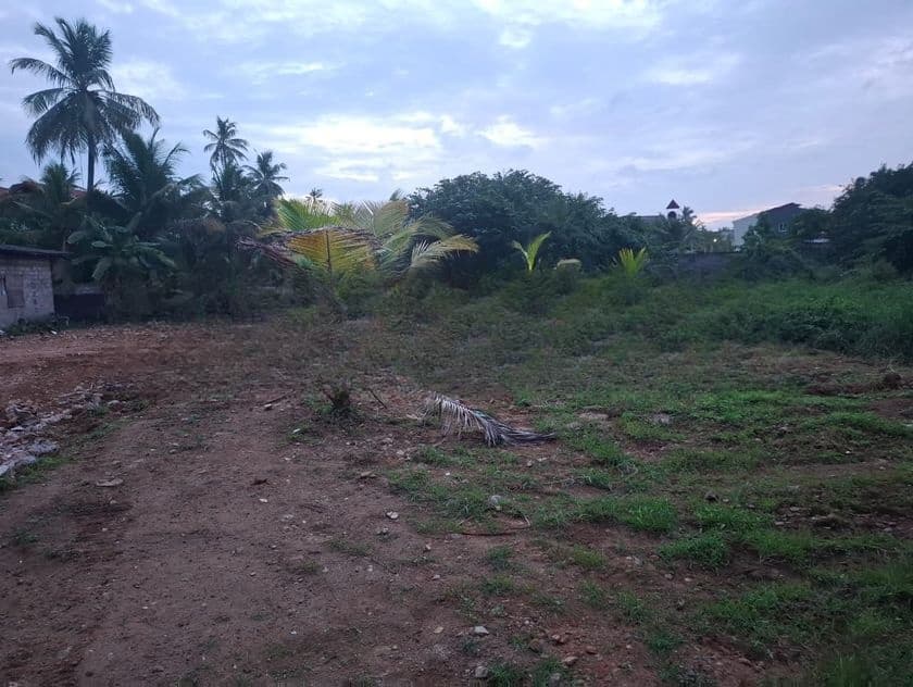 Prime Developed Land for Sale - Wattala Hunupitiya