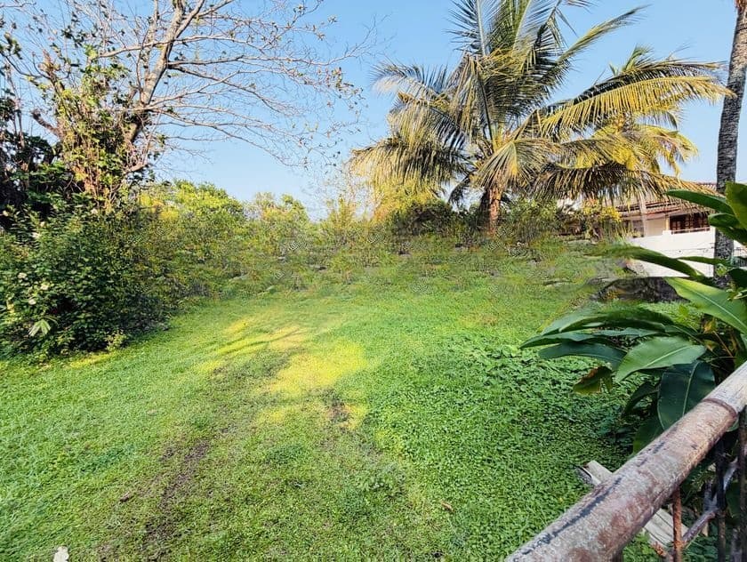 (AF826) 38.9 P Land Sale At Dehiwala