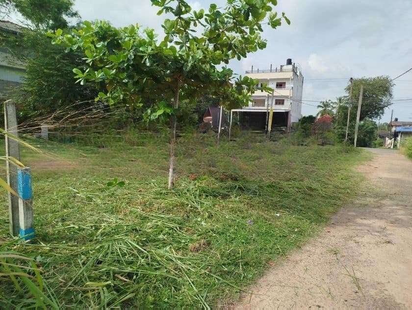 පිලියන්දල ,කහපොල බස් පාරට මුහුනලා බිම් කොටසක් විකිණීමට