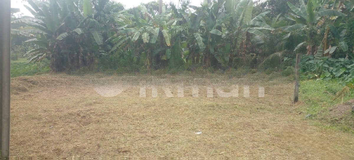10P Bare Land for Sale in Dakshina Mawatha, Hokandara (SL 14449)