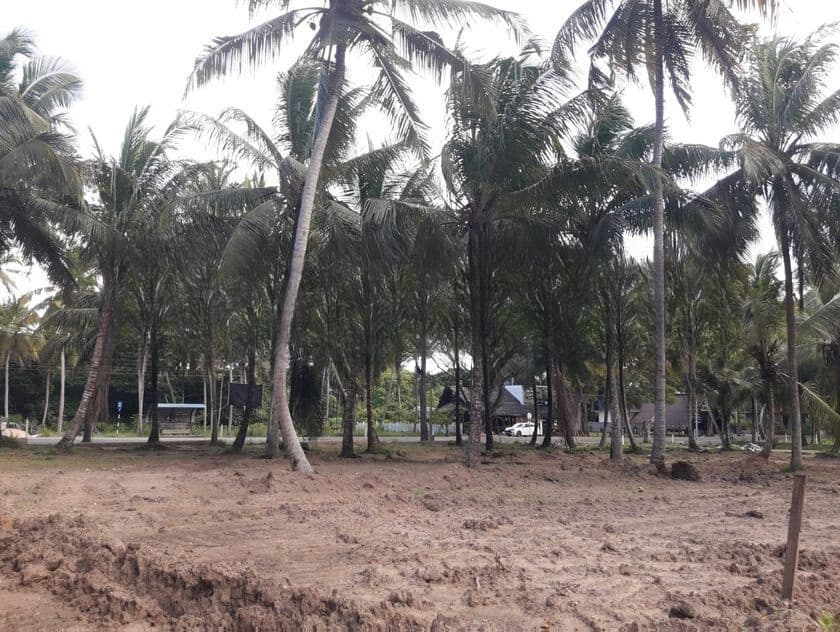 පාදෙණිය මහව ප්රධාන පාරෙන් ඉඩමක් විකිණීමට