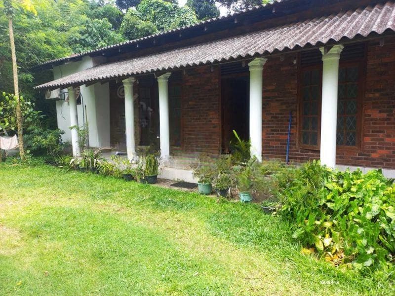 Peaceful Living! House for Sale in Kelaniya