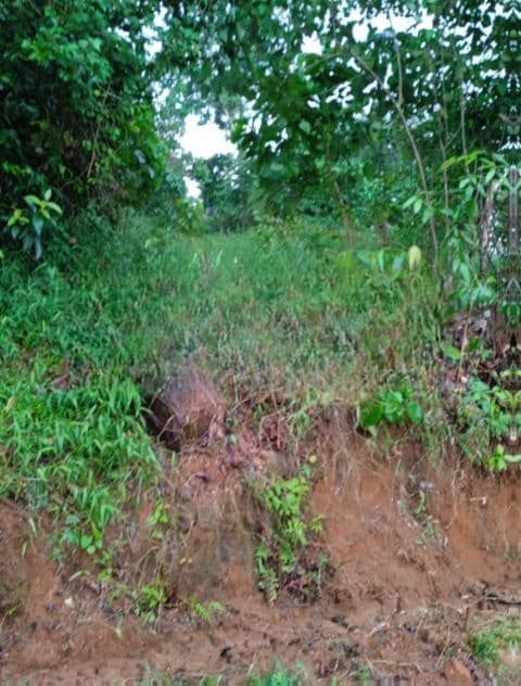 30 Perches Land for Sale in Pasyala (SSPL-427)