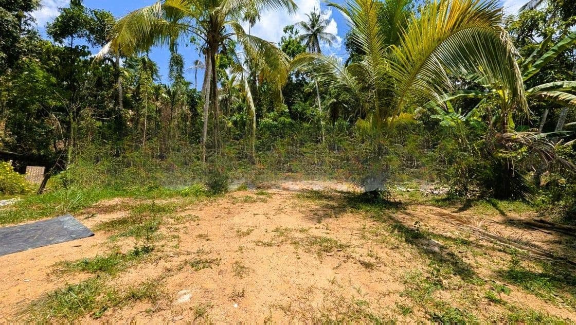 යක්කල නෙල්ලිගහමුල පර්චස් 24 ඉඩම විකිණීමට