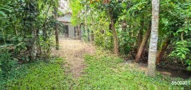 2 bedroom villa in ahangama with big garden for longterm rent